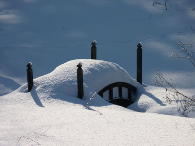 Blizzard 2015, photo 12