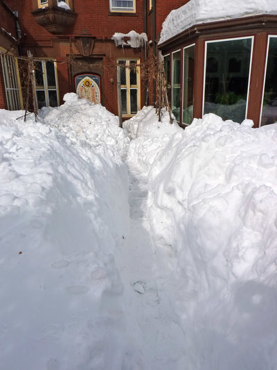 Blizzard 2015, photo 15