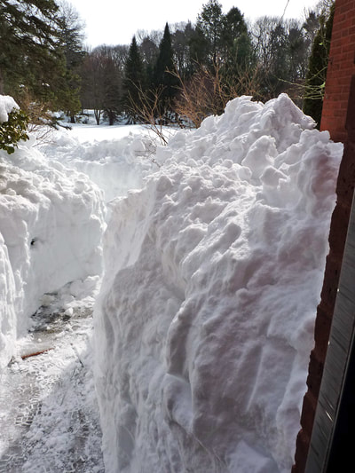 Blizzard 2015, photo 14