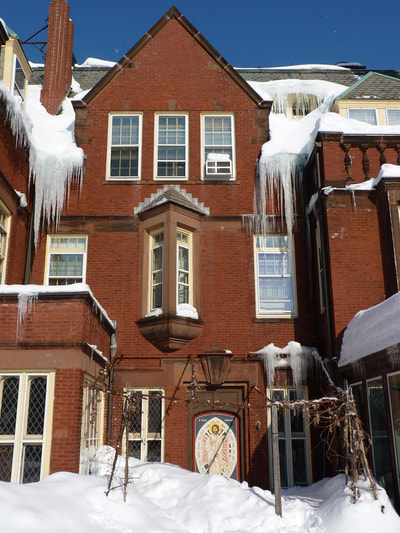 Blizzard 2015, photo 16