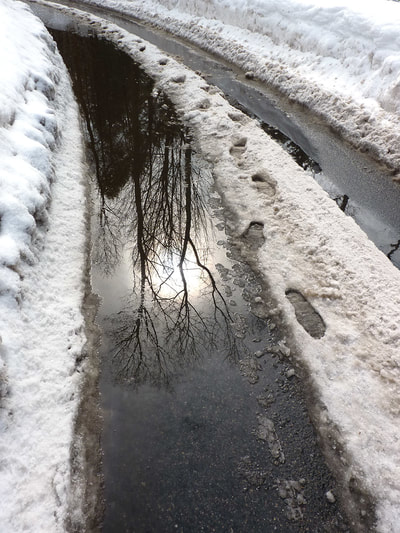 Blizzard 2015, photo 19