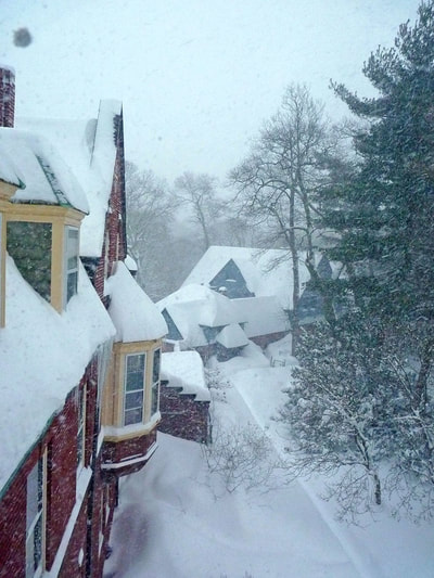 Blizzard 2015, photo 1