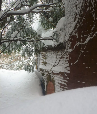 Blizzard 2015, photo 5