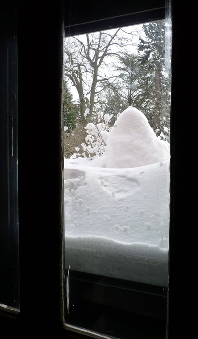 Blizzard 2015, photo 11