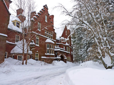 Blizzard 2015, photo 6