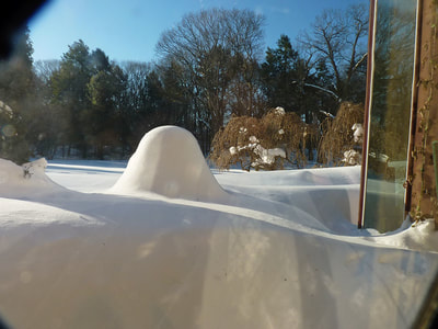 Blizzard 2015, photo 7