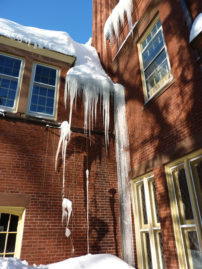 Blizzard 2015, photo 8