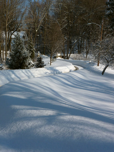 Blizzard 2015, photo 9
