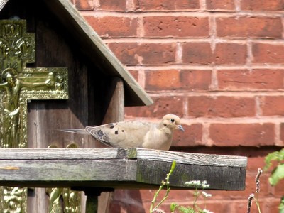 Summer 2011, photo 13