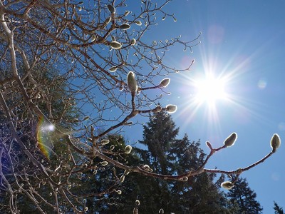 Apparently Spring Has Not Been Cancelled, photo 9