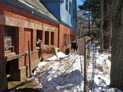 Apparently Spring Has Not Been Cancelled, photo 12