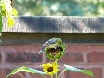Summer 2011, photo 11
