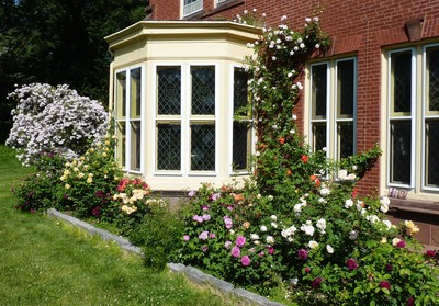 Holy Transfiguration Monastery Roses June 2018, photo 5