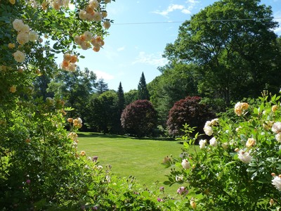 Holy Transfiguration Monastery Roses June 2018, photo 8
