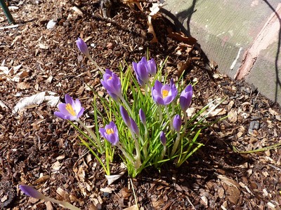 Apparently Spring Has Not Been Cancelled, photo 4