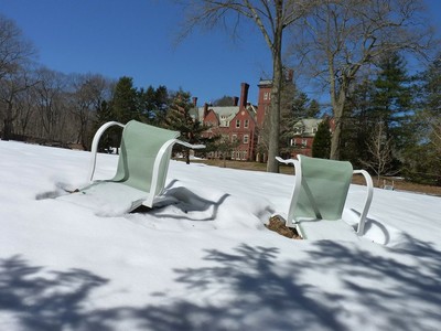 Apparently Spring Has Not Been Cancelled, photo 8