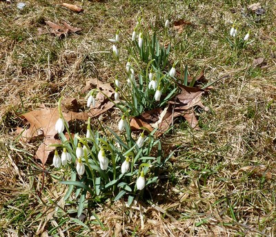 Apparently Spring Has Not Been Cancelled, photo 11