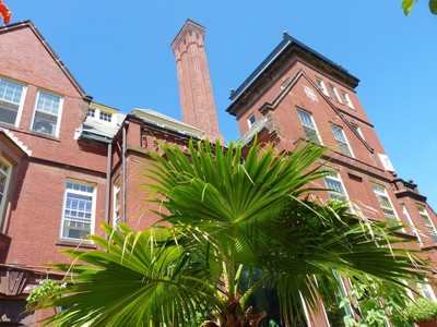 Summer 2011, photo 5