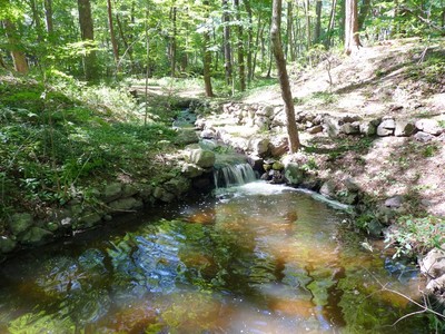 Summer 2011, photo 1