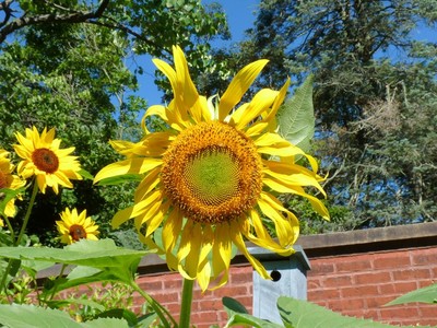 Summer 2011, photo 10