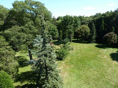 Summer 2011, photo 6