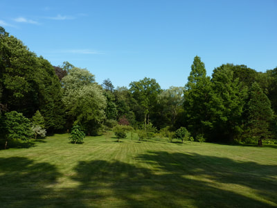 Summer 2011, photo 8