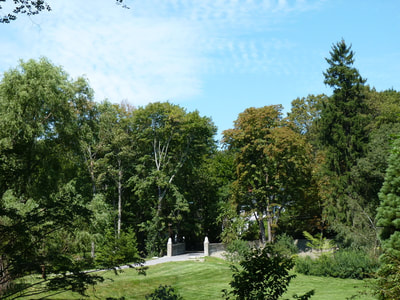 Summer 2011, photo 7