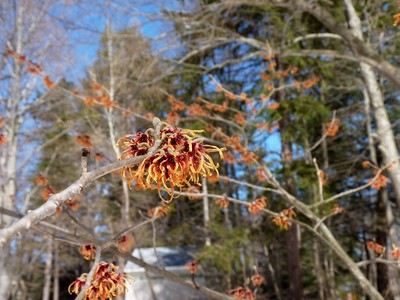 Apparently Spring Has Not Been Cancelled, photo 6