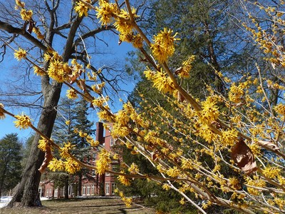Apparently Spring Has Not Been Cancelled, photo 10