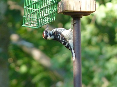 Summer 2011, photo 12